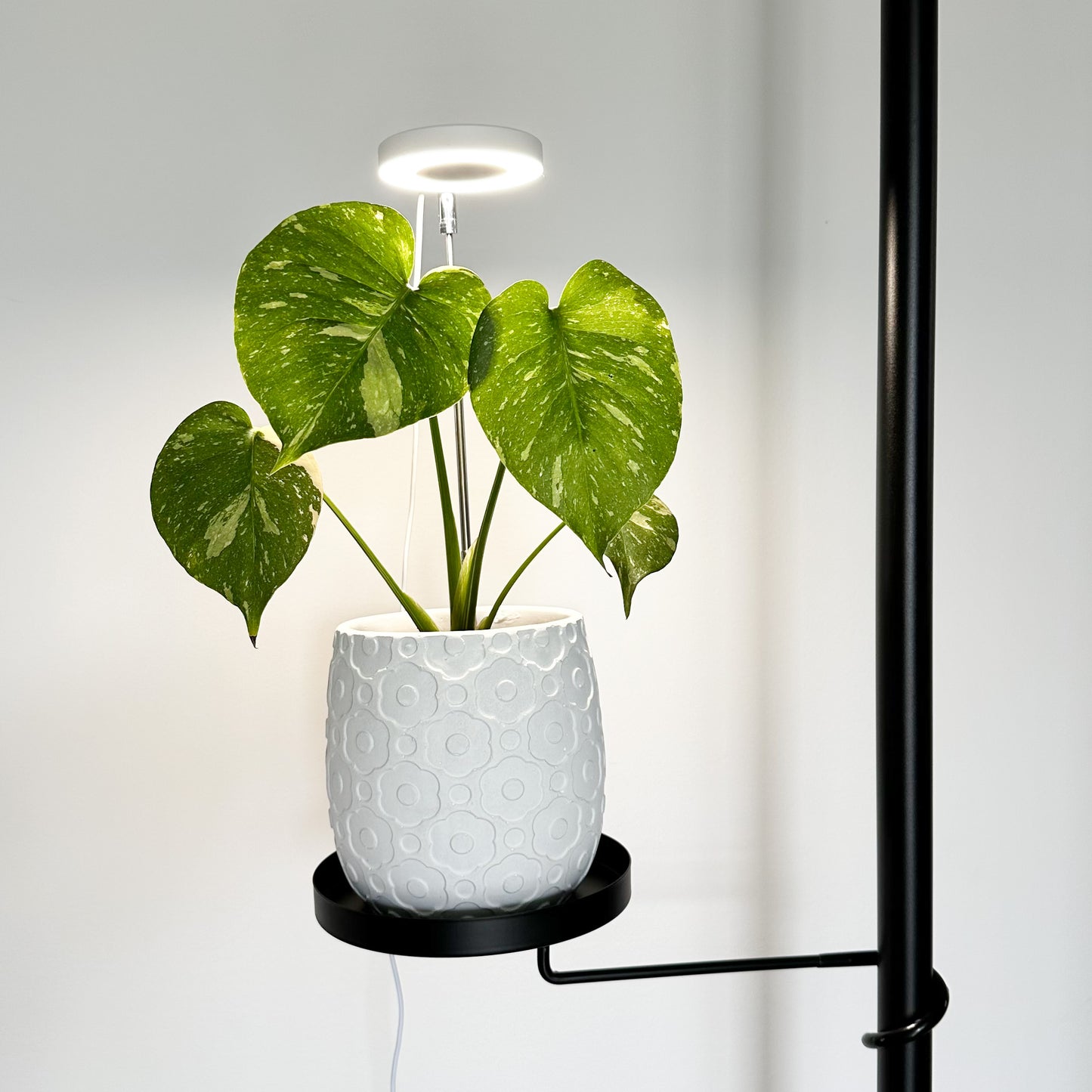 Indoor Grow Light - White