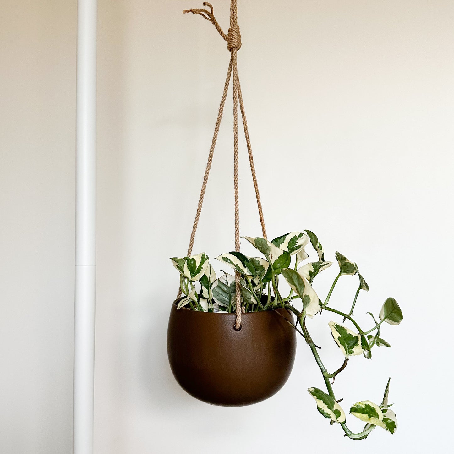 Lolly Ceramic Hanging Planter - Chocolate