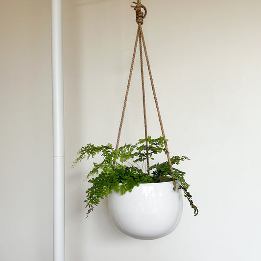 Lolly Ceramic Hanging Planter - Milky