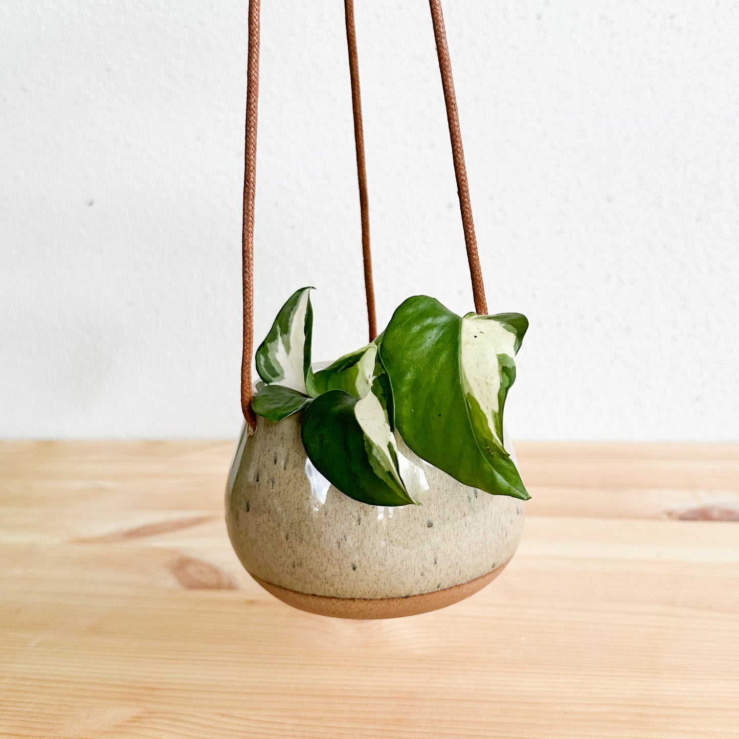 Toscana Hanging Planter Two Tone Olive 11x 8cm