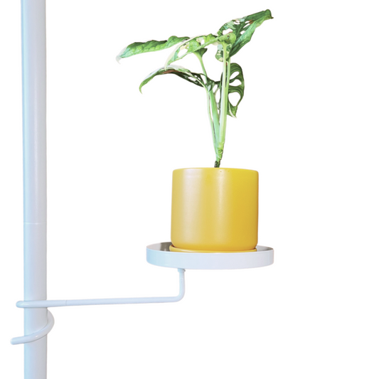 White Plant Pole Tray - PREORDER For LATE FEB/EARLY MARCH DISPATCH