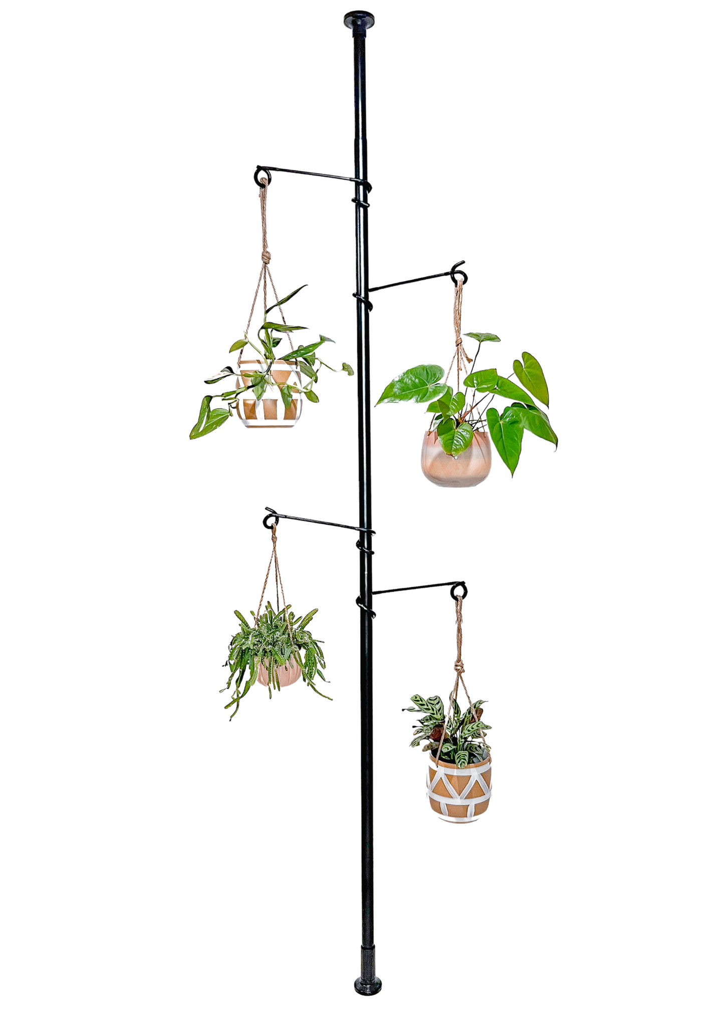 PREORDER - Tension Plant Hanging Pole By The Urban Jungle  - Black